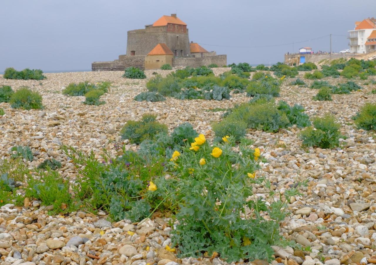 Sea Wind And Sun Διαμέρισμα Wimereux Εξωτερικό φωτογραφία